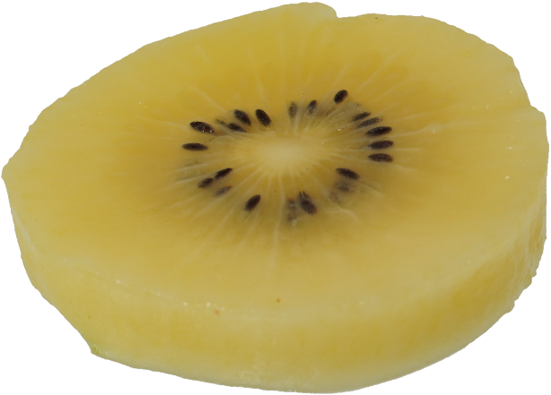 キウイフルーツ（ゴールデンキウイ）｜商用可フリー画像・背景透過
