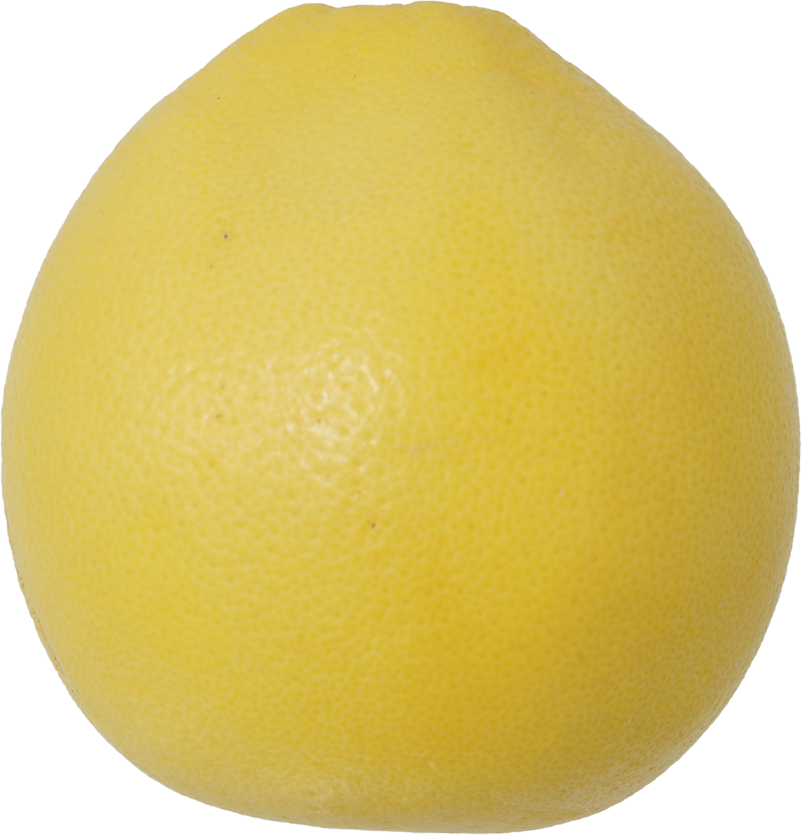 グレープフルーツ｜商用可フリー画像・背景透過