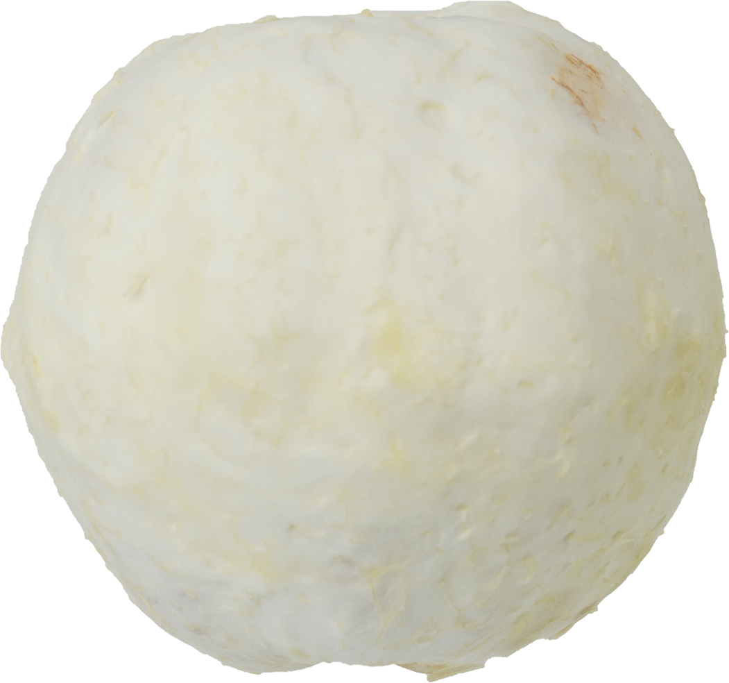 グレープフルーツ｜商用可フリー画像・背景透過