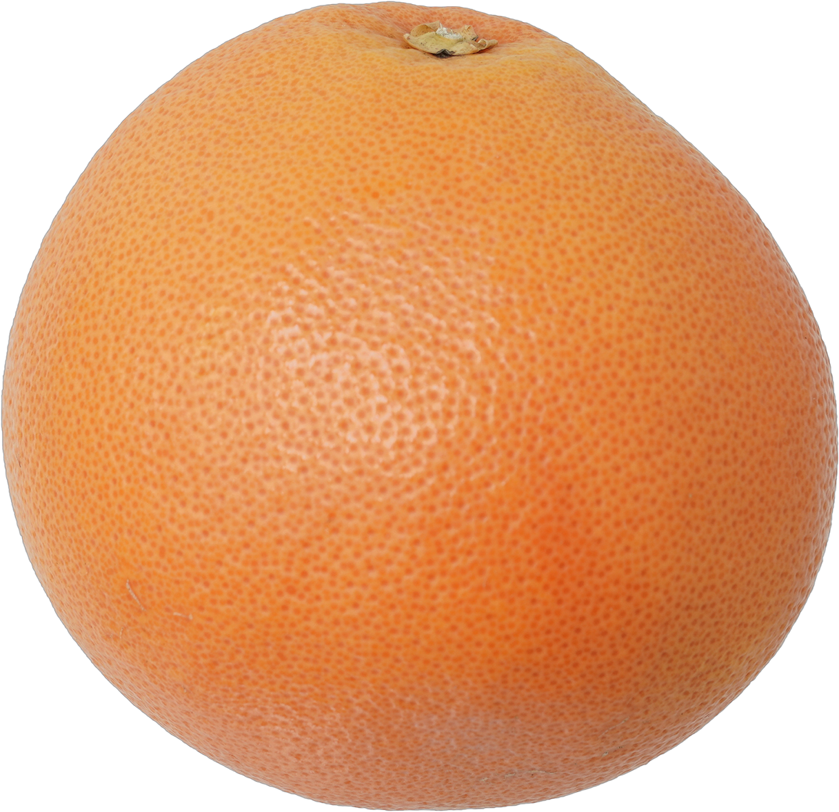 グレープフルーツ（ピンク）｜商用可フリー画像・背景透過