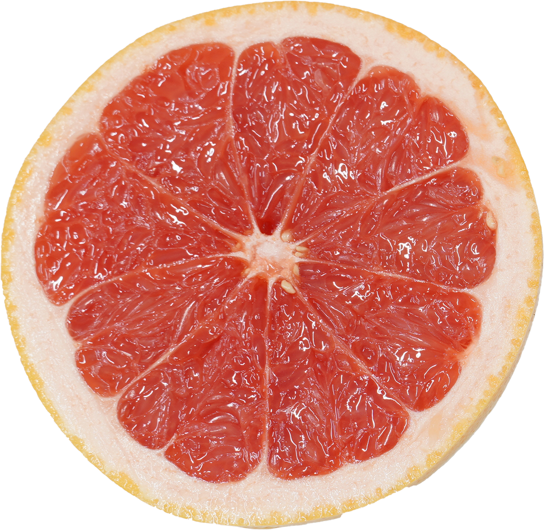 グレープフルーツ（ピンク）｜商用可フリー画像・背景透過