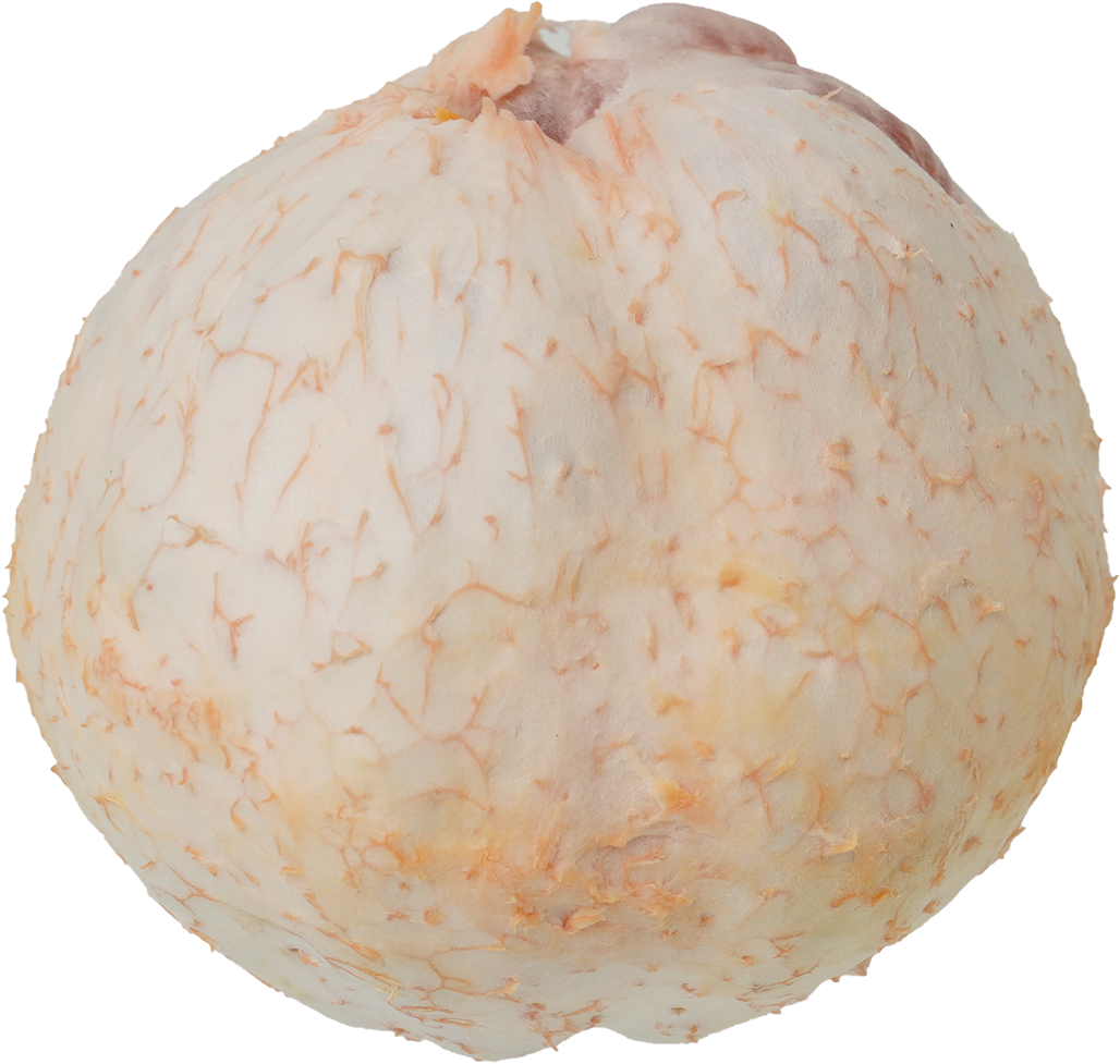 グレープフルーツ（ピンク）｜商用可フリー画像・背景透過