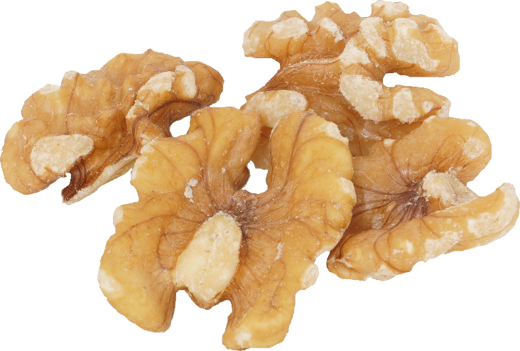 くるみ｜商用可フリー画像・背景透過