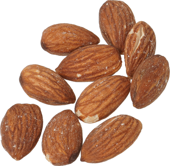 アーモンド｜商用可フリー画像・背景透過