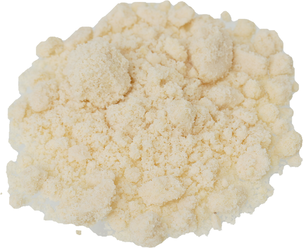 アーモンドプードル｜商用可フリー画像・背景透過