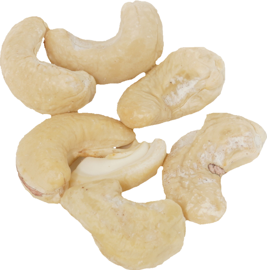 カシューナッツ|商用可フリー画像・背景透過