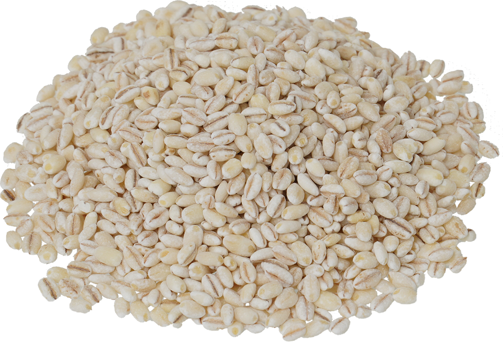 もち麦｜商用可フリー画像・背景透過