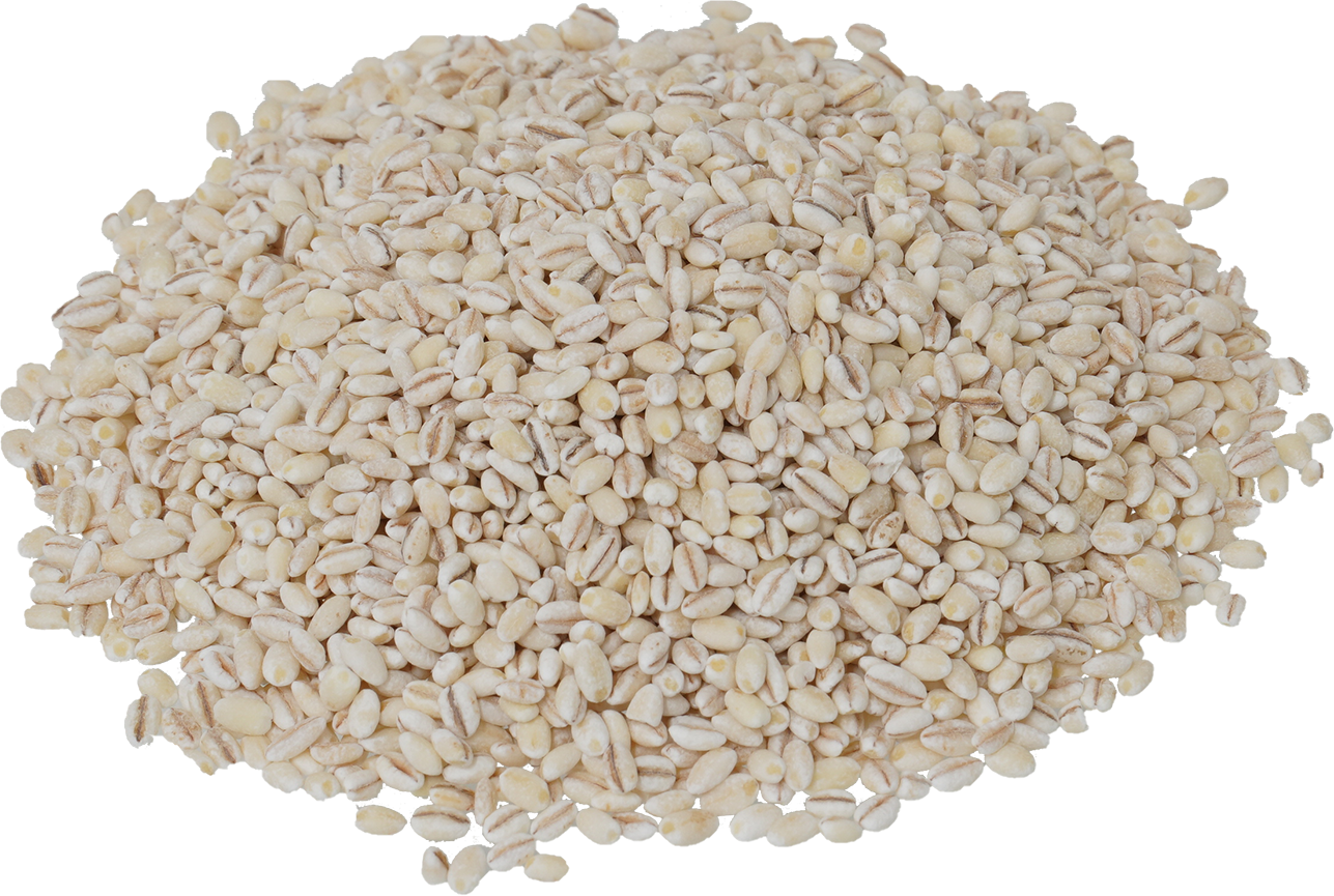 もち麦｜商用可フリー画像・背景透過