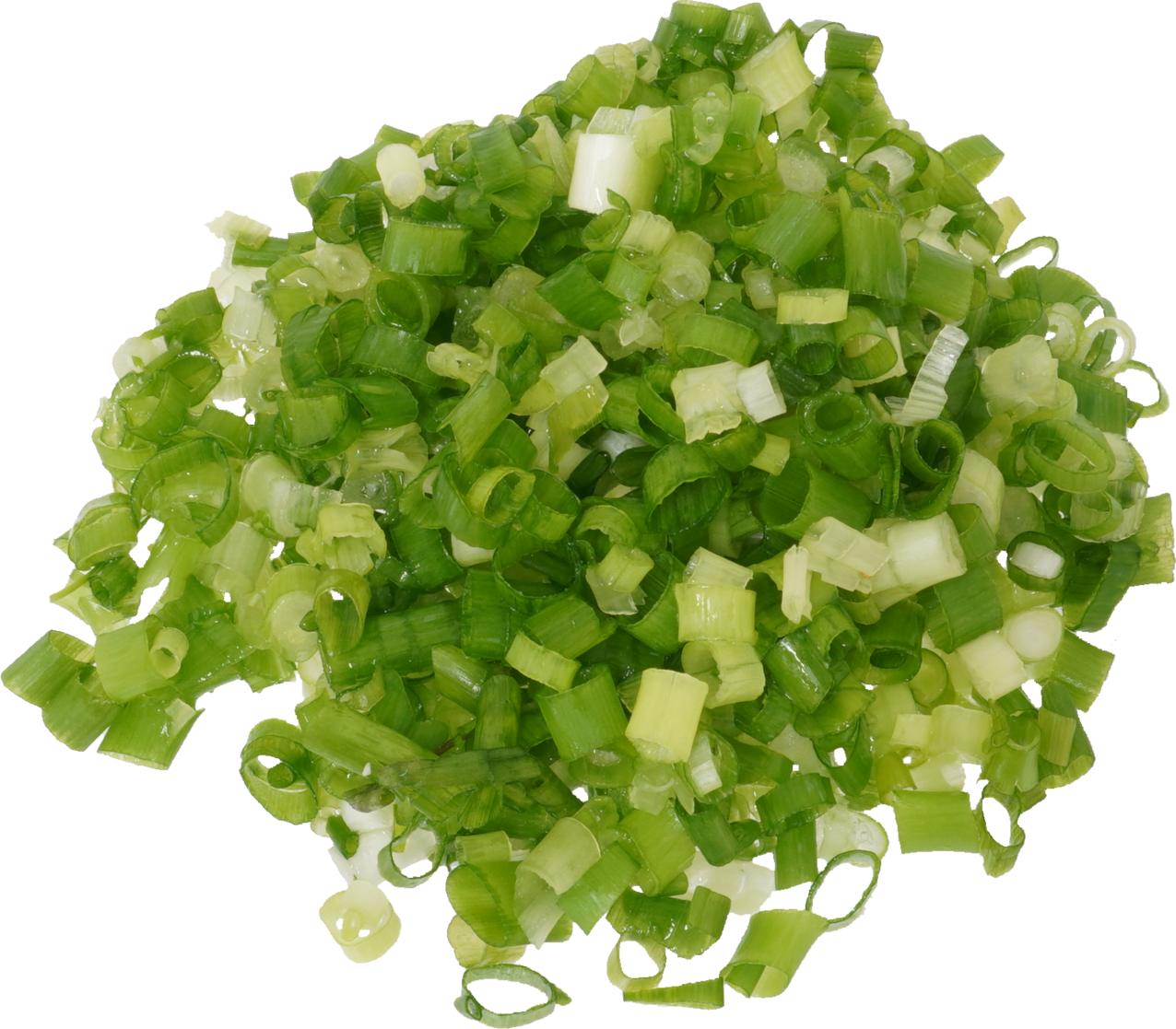 ねぎ（こねぎ）｜商用可フリー画像・背景透過