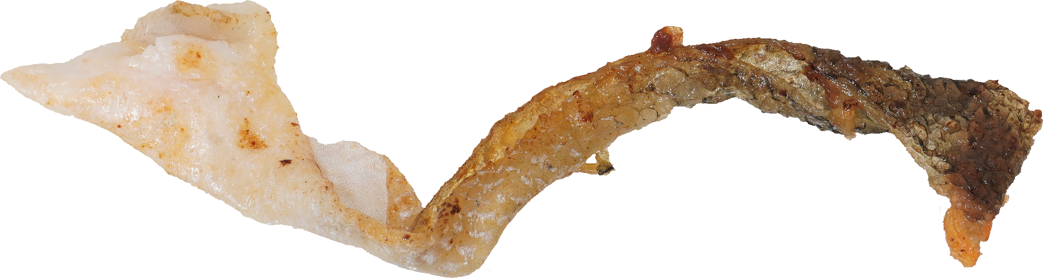 さけ・ます（焼き）｜商用可フリー画像・背景透過