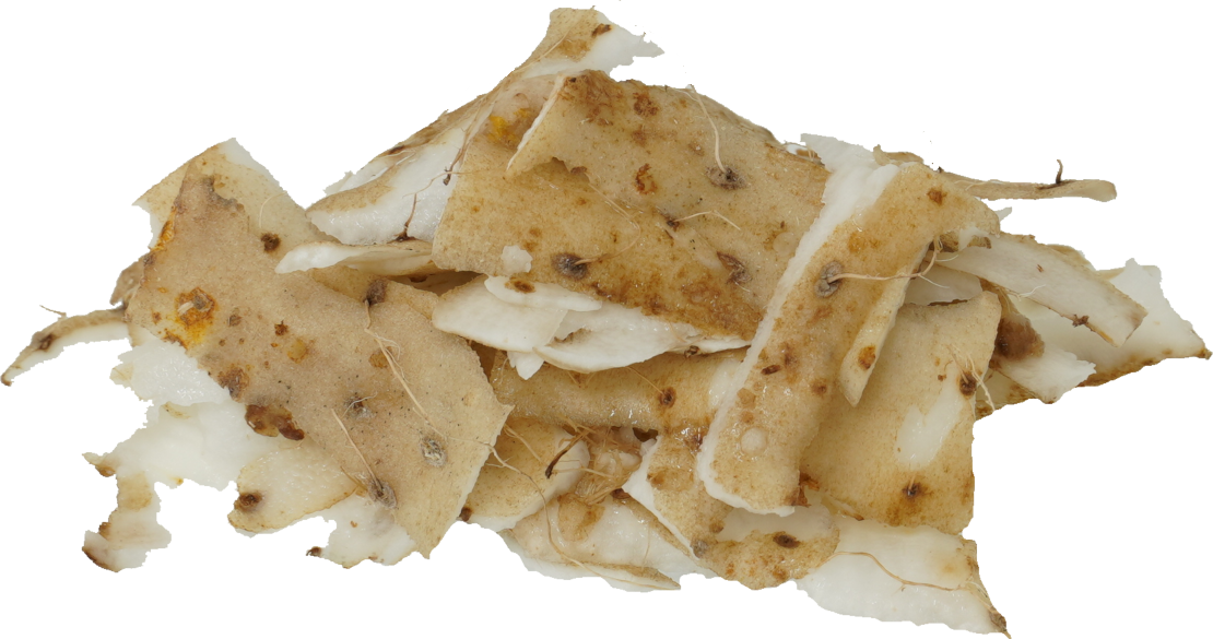 ながいも|商用可フリー画像・背景透過