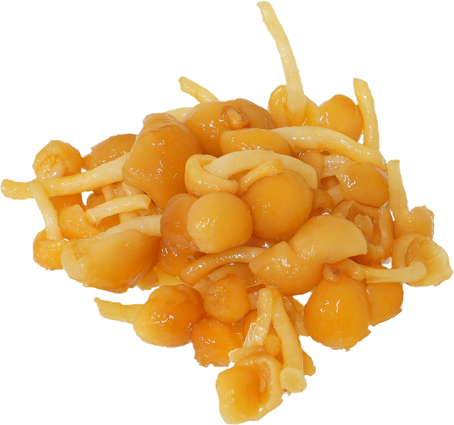 なめこ｜商用可フリー画像・背景透過