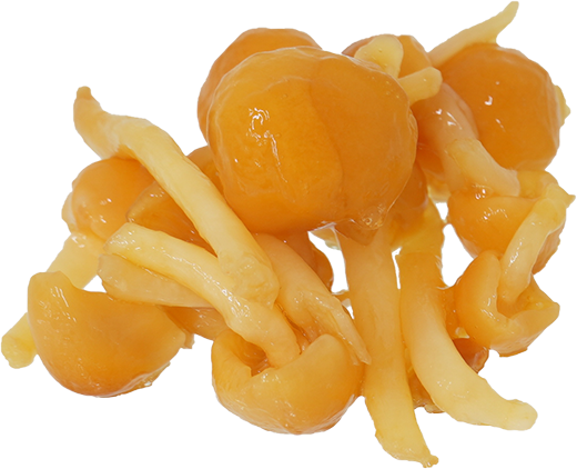 なめこ｜商用可フリー画像・背景透過