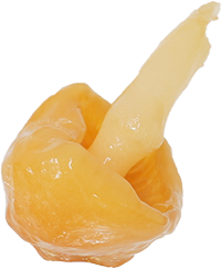 なめこ｜商用可フリー画像・背景透過