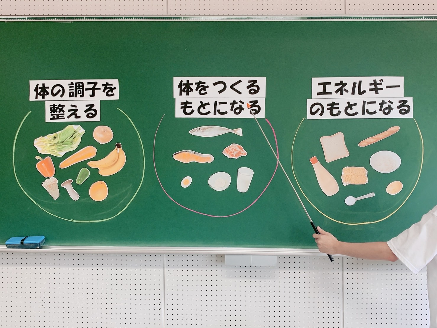 栄養教育｜商用可フリー画像・背景透過