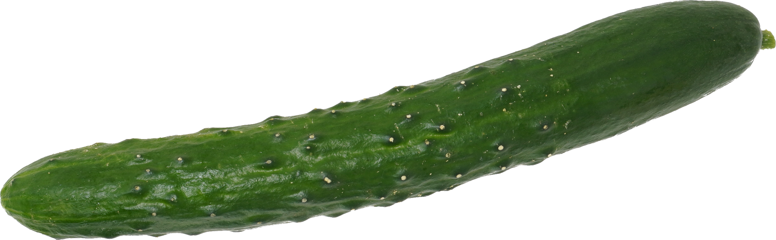 きゅうり｜商用可フリー画像・背景透過