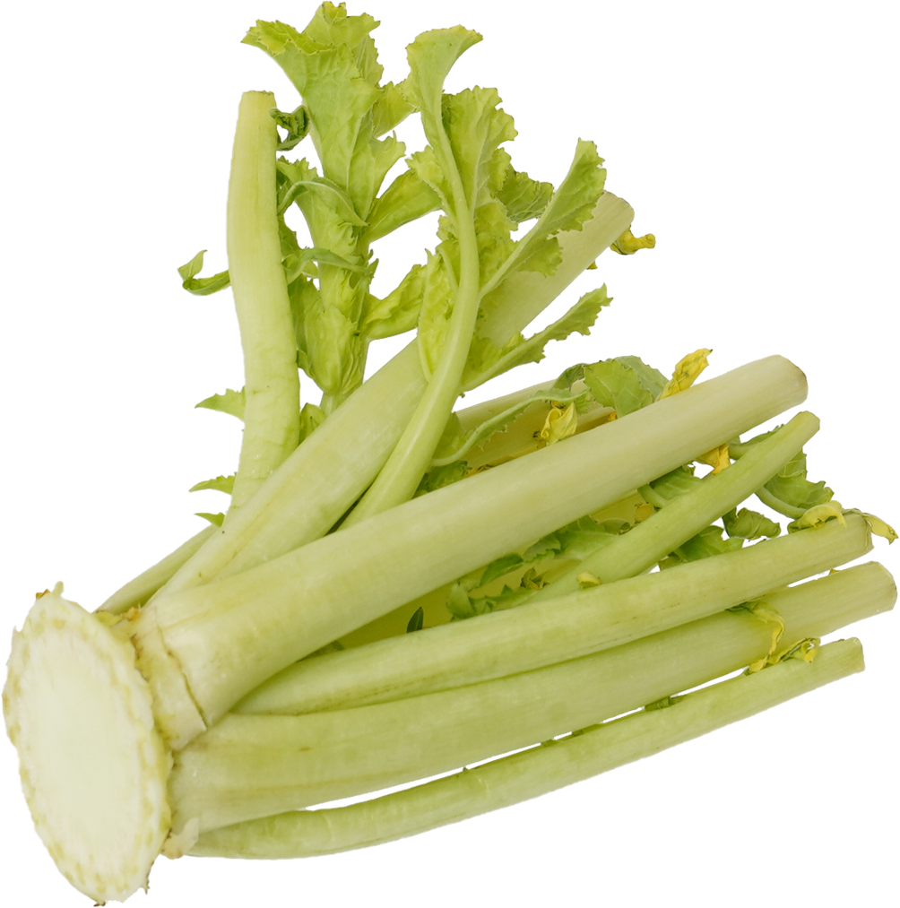 だいこん|商用可フリー画像・背景透過