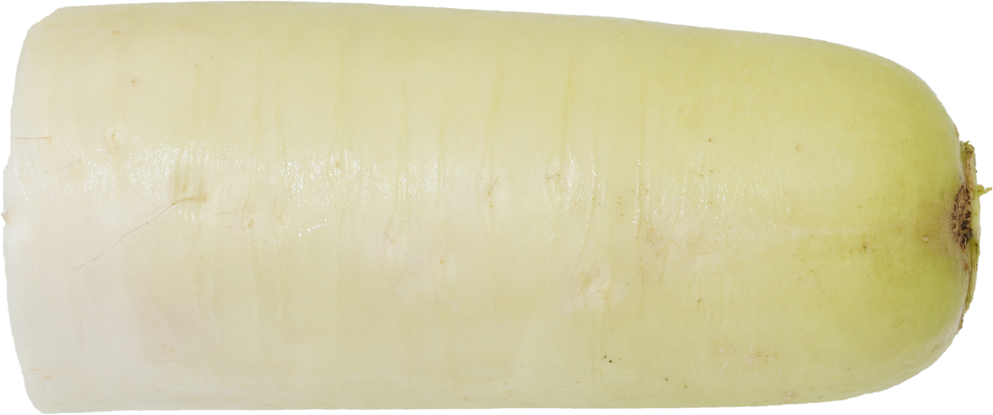 だいこん｜商用可フリー画像・背景透過