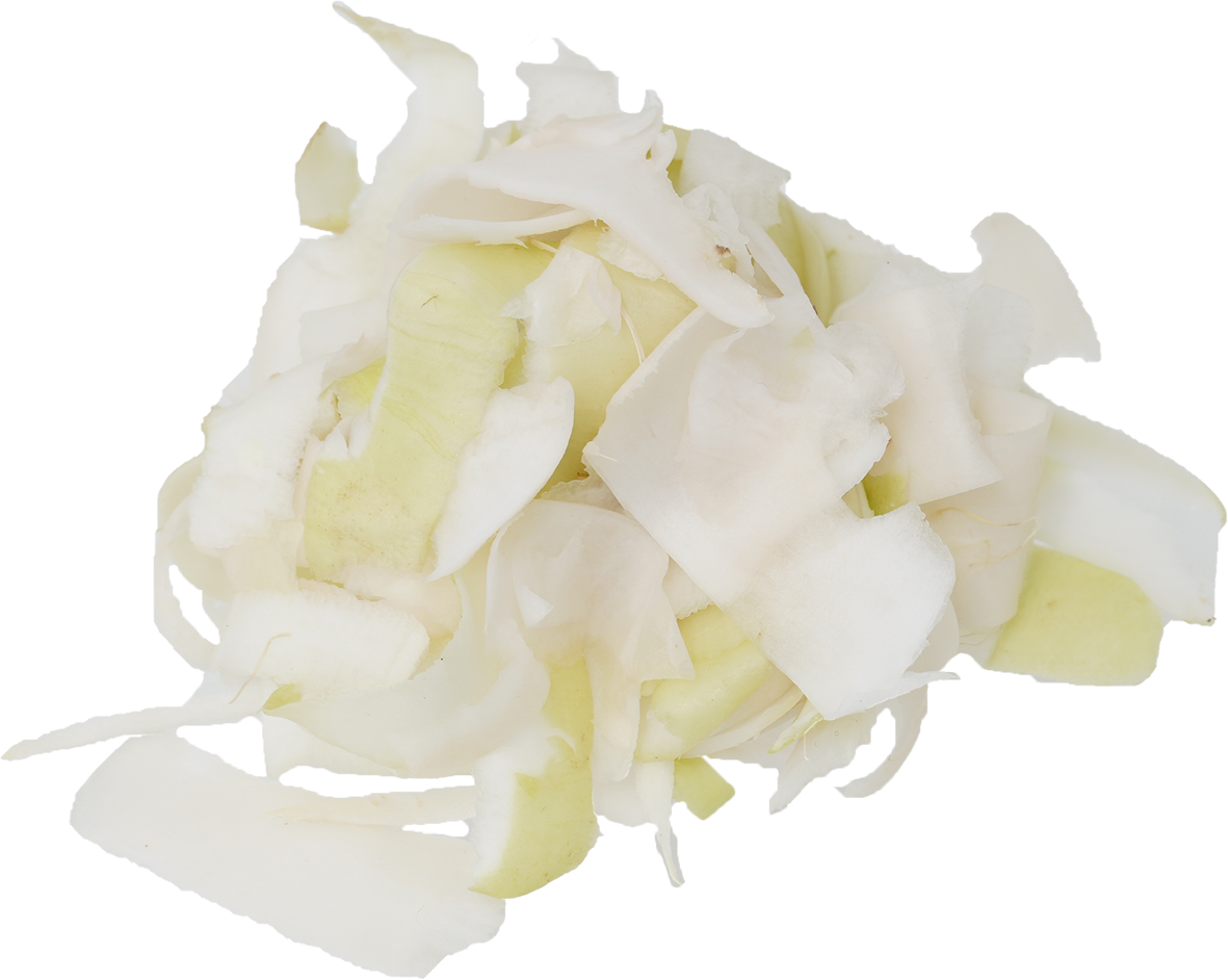 だいこん｜商用可フリー画像・背景透過