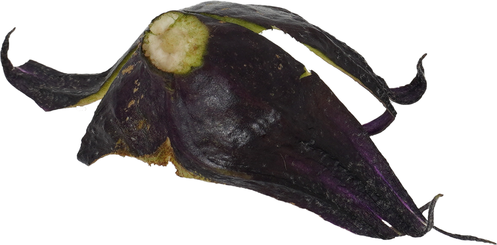 なす｜商用可フリー画像・背景透過