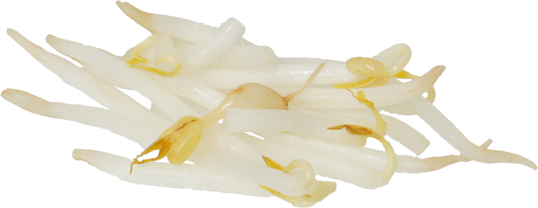 りょくとうもやし｜商用可フリー画像・背景透過