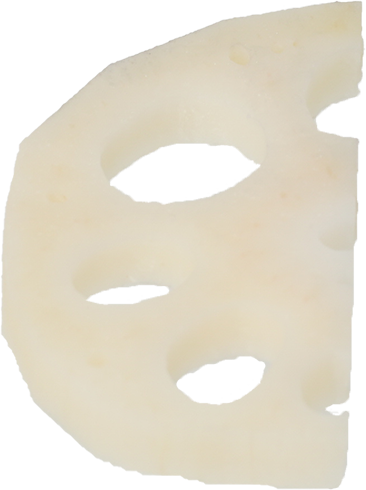 れんこん|商用可フリー画像・背景透過