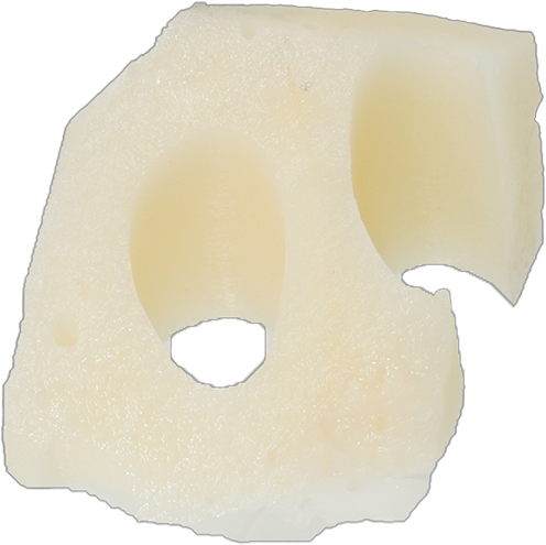 れんこん|商用可フリー画像・背景透過