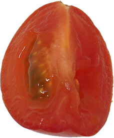 ミニトマト【プチトマト】｜商用可フリー画像・背景透過