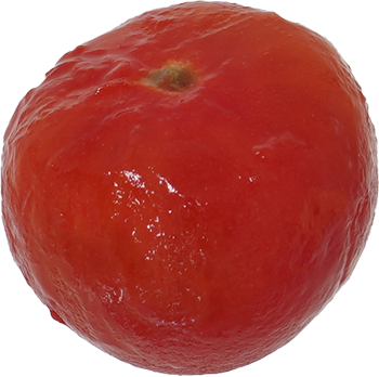 ミニトマト【プチトマト】｜商用可フリー画像・背景透過