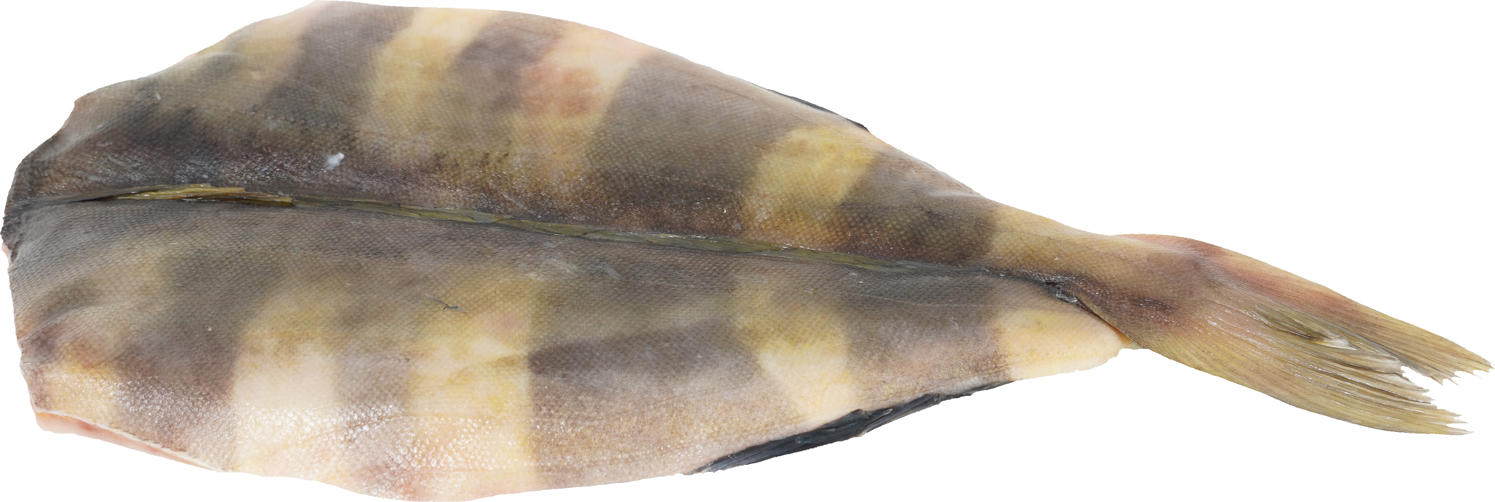 ほっけ｜商用可フリー画像・背景透過