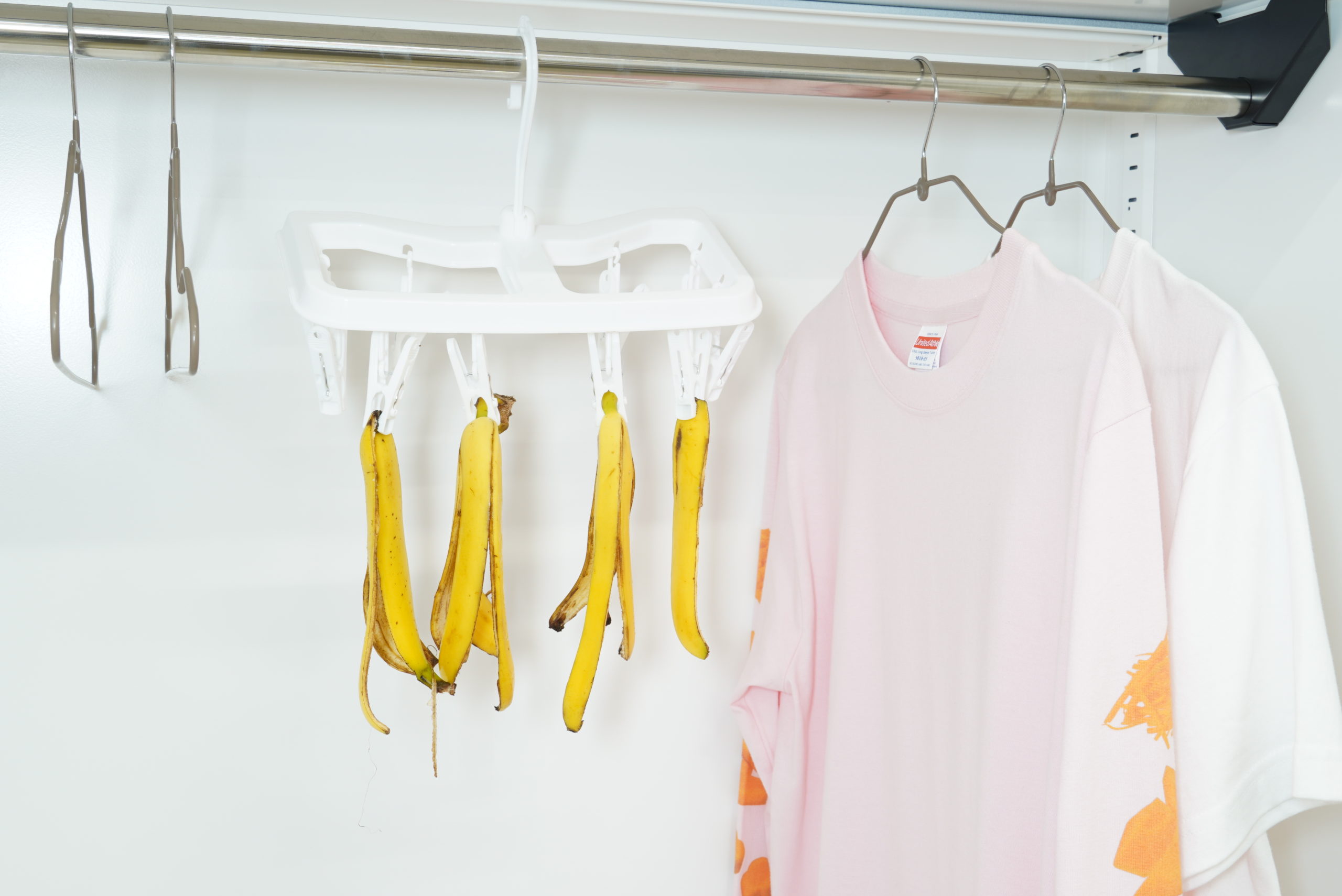 バナナの皮を干してみる｜商用可フリー画像・背景透過