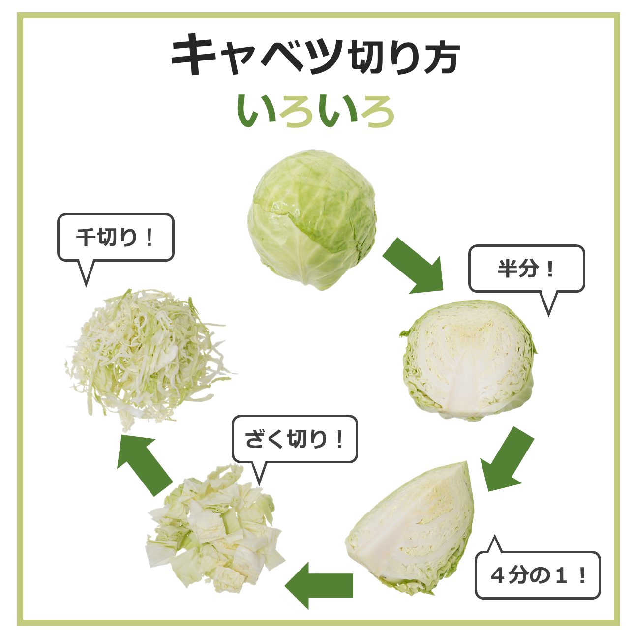 切り方いろいろ！キャベツ編｜商用可フリー画像・背景透過