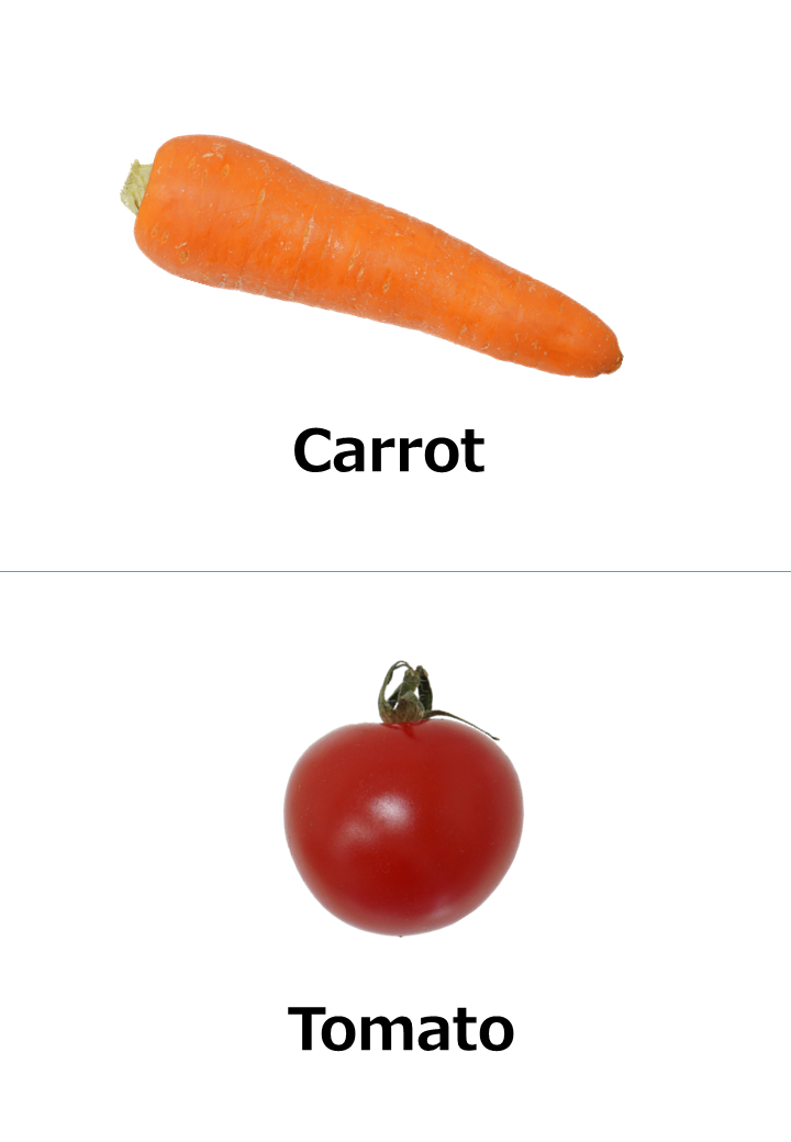 保育教材｜商用可フリー画像・背景透過