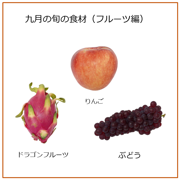 旬の食材　９月のフルーツ｜商用可フリー画像・背景透過