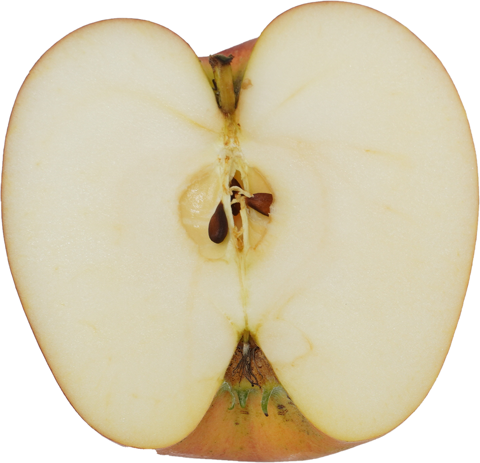 りんご｜商用可フリー画像・背景透過