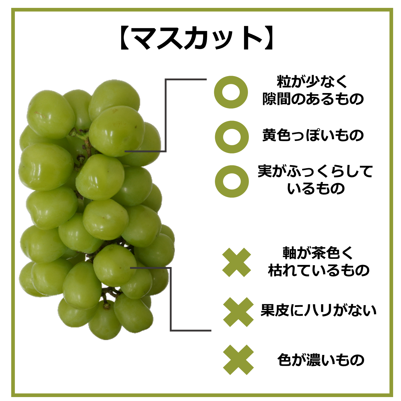 おいしい食材の見分け方~8月の旬フルーツ編~|商用可フリー画像・背景透過