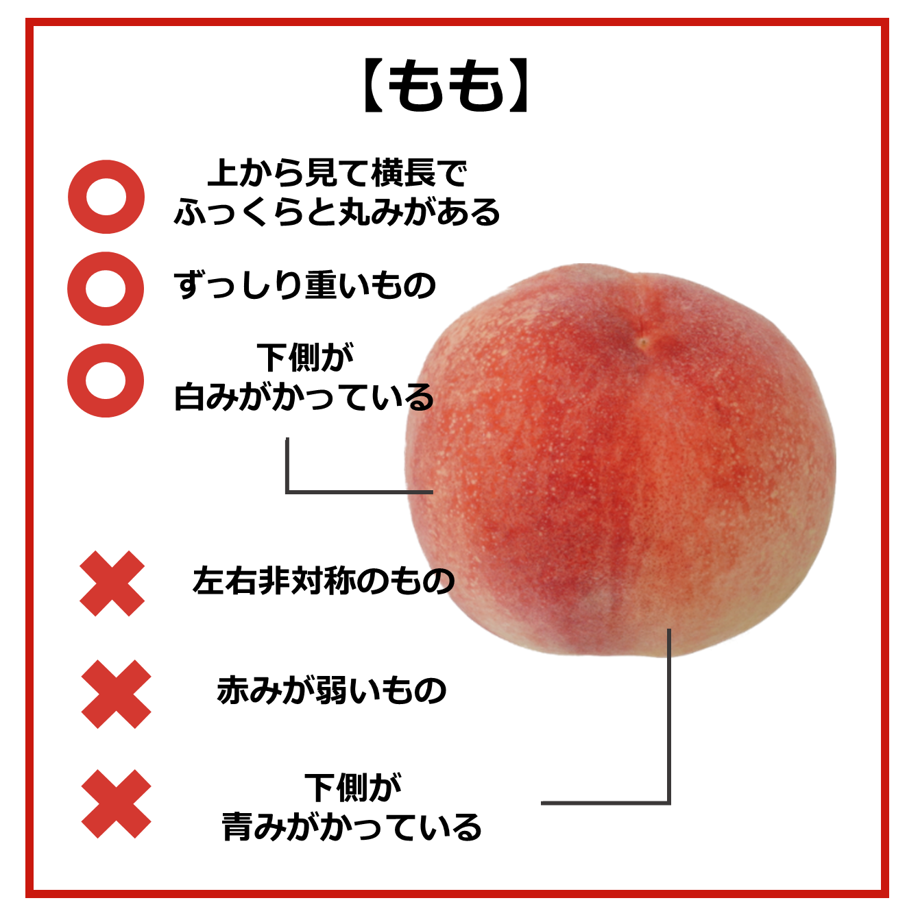 おいしい食材の見分け方~8月の旬フルーツ編~|商用可フリー画像・背景透過