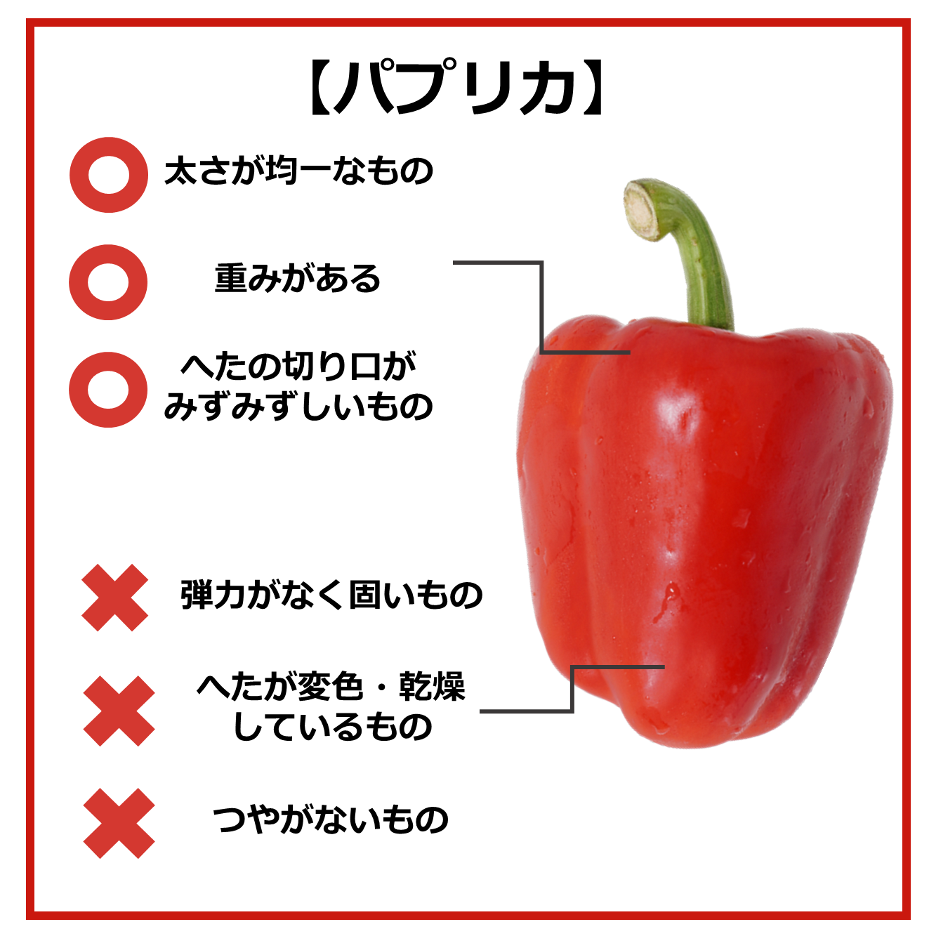 おいしい食材の見分け方~8月の旬野菜編~|商用可フリー画像・背景透過