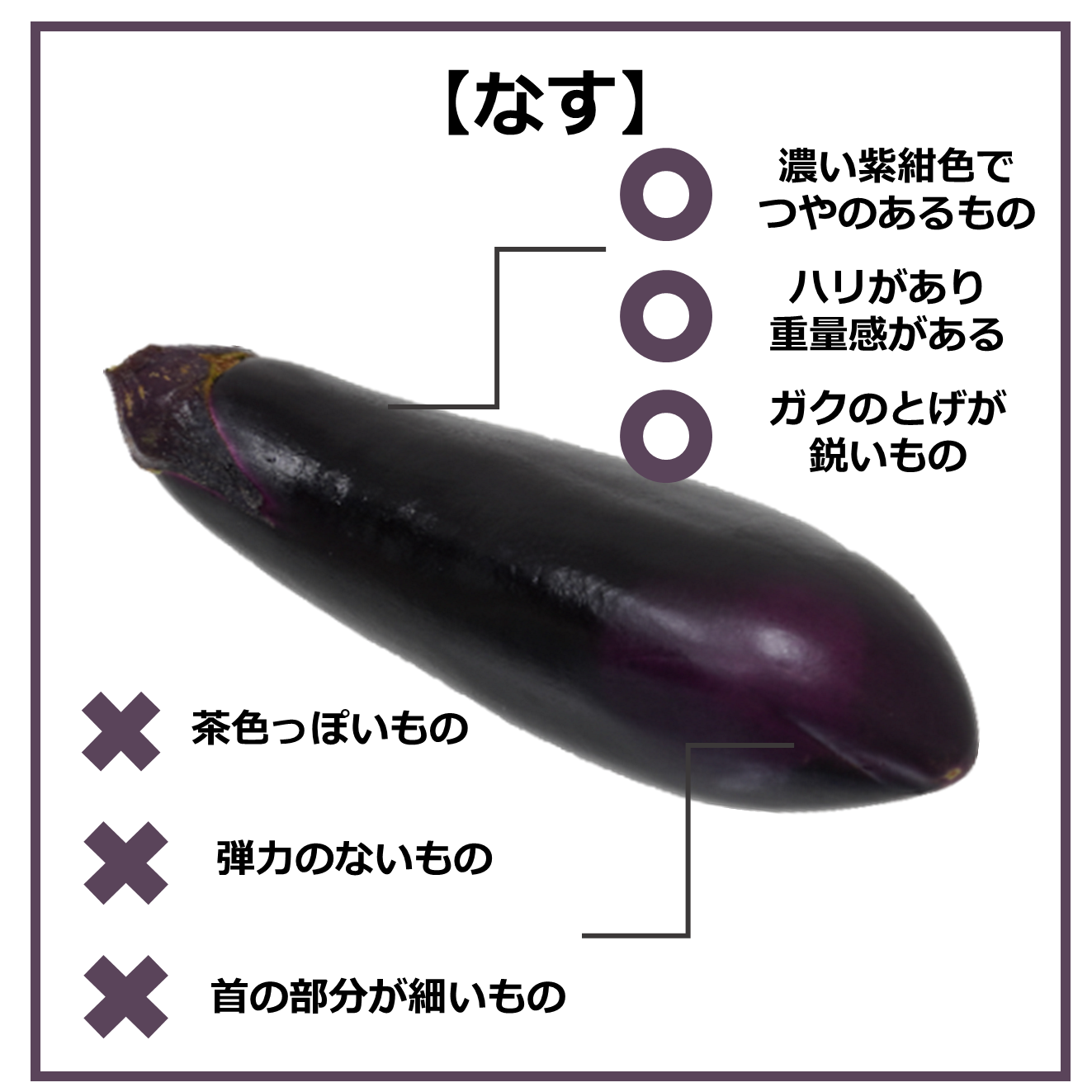 おいしい食材の見分け方～9月の旬野菜編～｜商用可フリー画像・背景透過