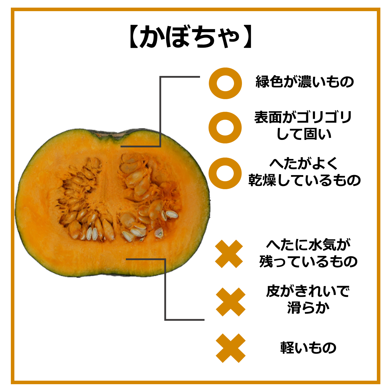 おいしい食材の見分け方～9月の旬野菜編～｜商用可フリー画像・背景透過