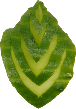 きゅうり｜商用可フリー画像・背景透過