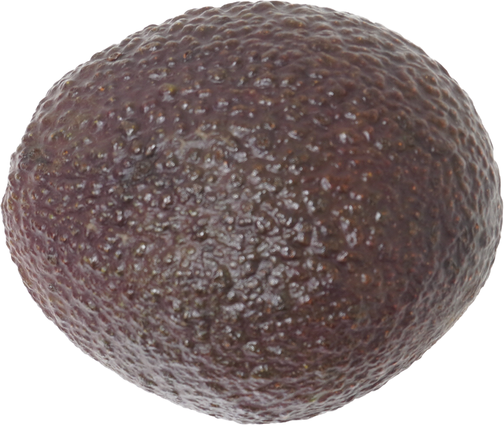 アボカド｜商用可フリー画像・背景透過