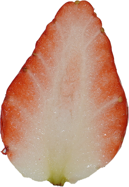 いちご｜商用可フリー画像・背景透過