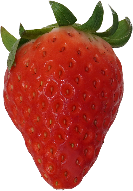いちご｜商用可フリー画像・背景透過
