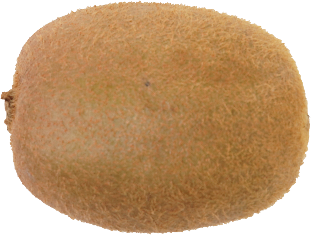 キウイフルーツ｜商用可フリー画像・背景透過