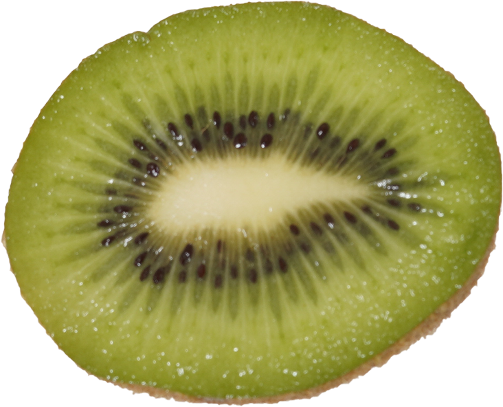 キウイフルーツ|商用可フリー画像・背景透過