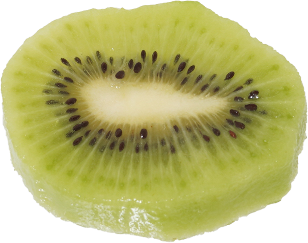 キウイフルーツ｜商用可フリー画像・背景透過