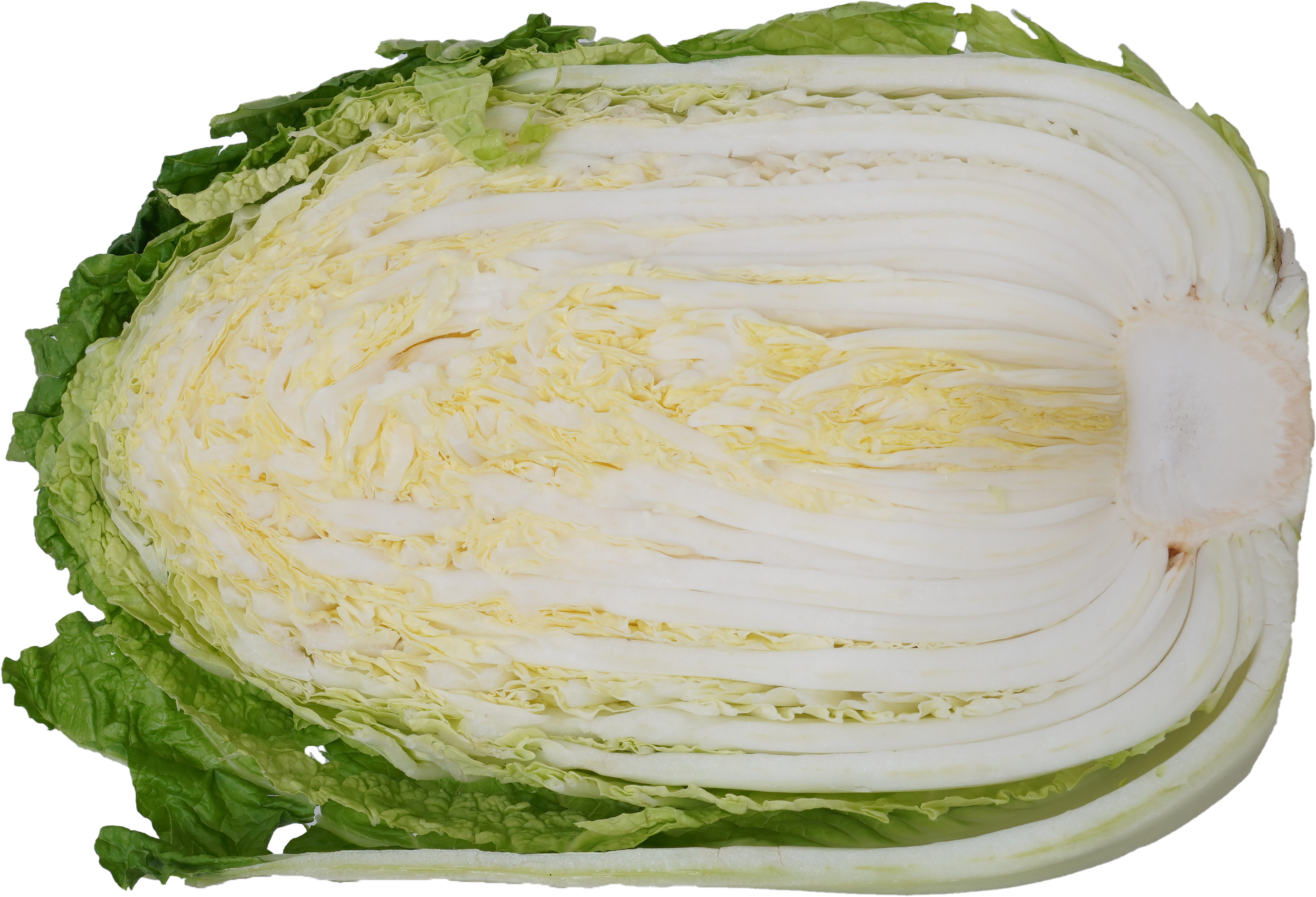 はくさい｜商用可フリー画像・背景透過