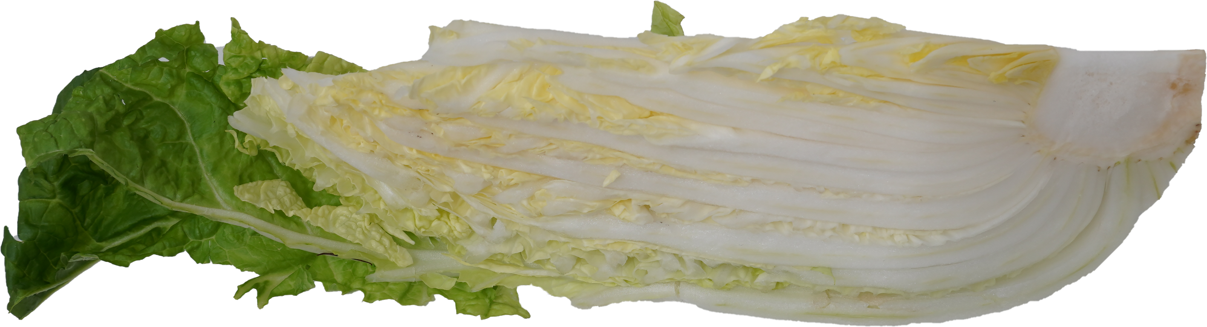 はくさい｜商用可フリー画像・背景透過