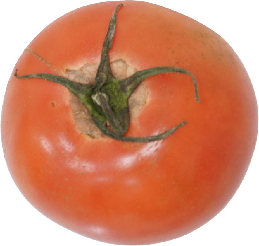 トマト｜商用可フリー画像・背景透過